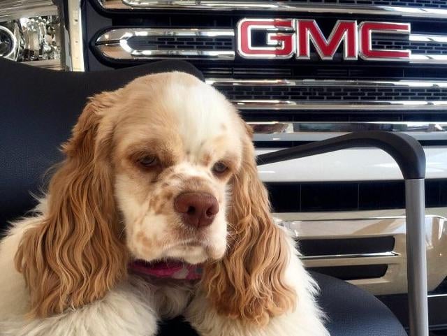 Devan Lowe Buick Cadillac GMC in RAINBOW CITY AL